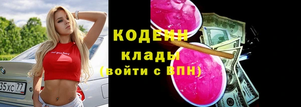 твердый Абаза