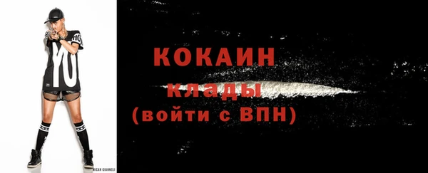 тгк Абинск