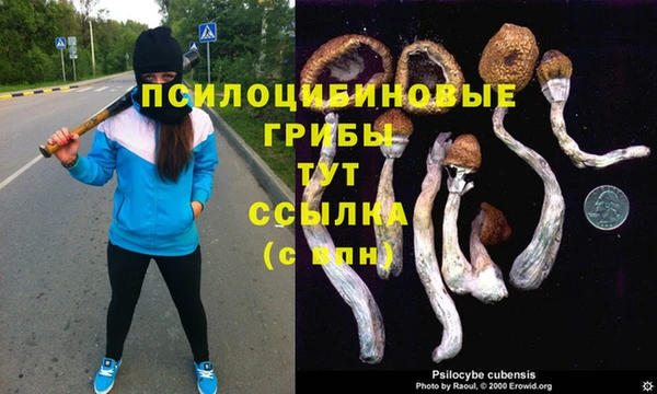 твердый Абаза