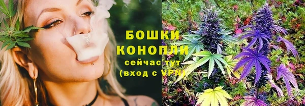 твердый Абаза