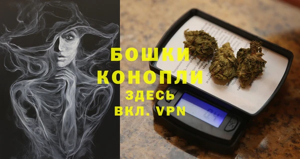 твердый Абаза