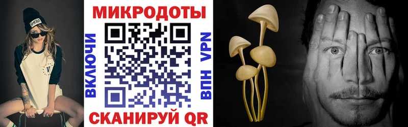 ОМГ ОМГ зеркало Серафимович Галлюциногенные грибы прущие грибы цены