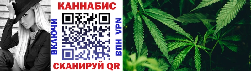 Бошки марихуана OG Kush ОМГ ОМГ как зайти Серафимович